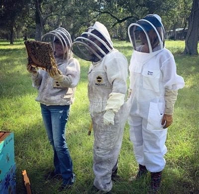 SweetNes Honey offers Bee-A-Keeper Tours