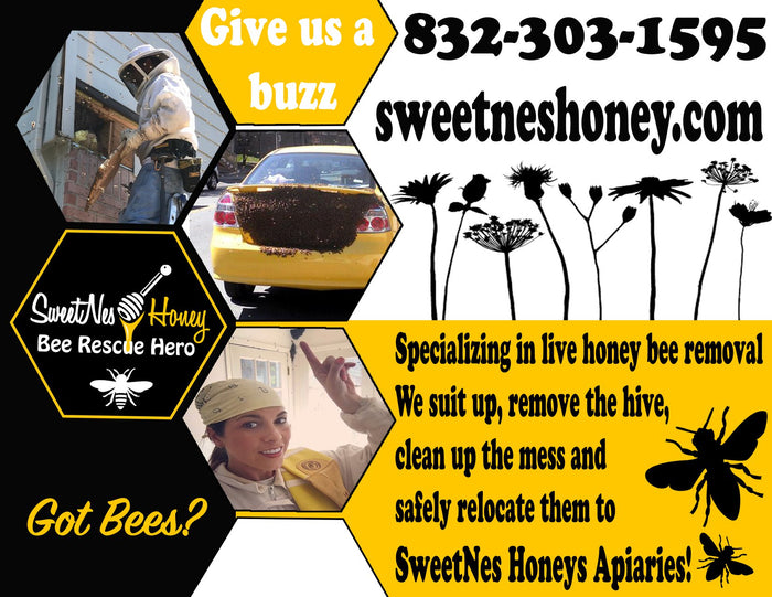 Safe Bee Removal / Rescue / Relocation
