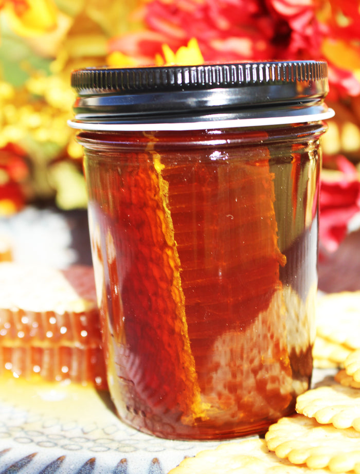 8oz Comb Honey (Chunk of Texas Honey Comb in our Local Fort Bend Honey)