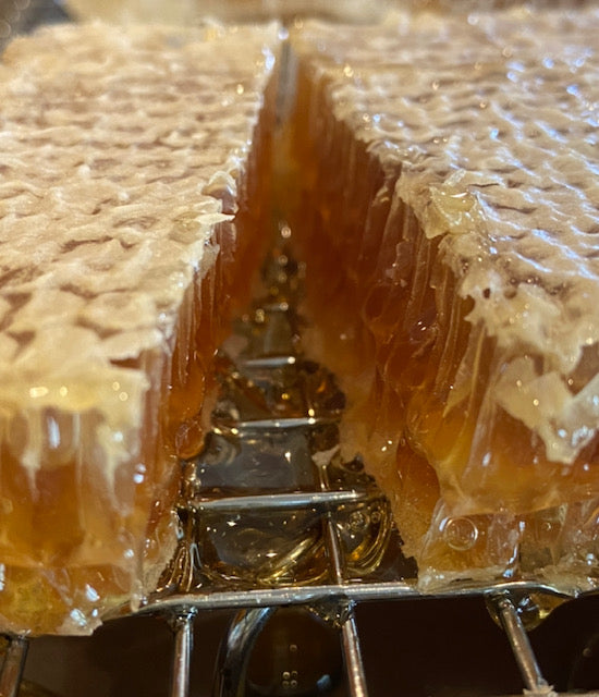 Raw Honey Comb