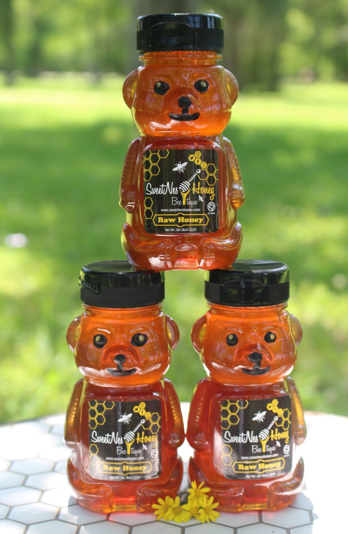 SweetNes Raw Unfiltered Local Texas Honey 8oz Squeezable Bear (3 Bear Deal)