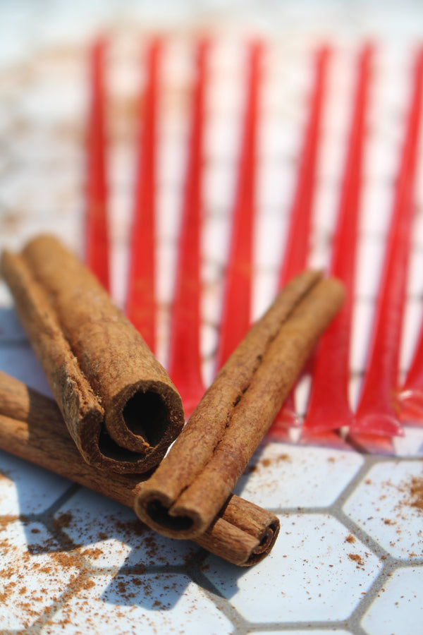 SweetNes Honey Sticks  - CINNAMON