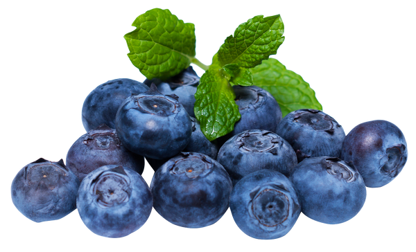 SweetNes Honey Sticks  - BLUEBERRY
