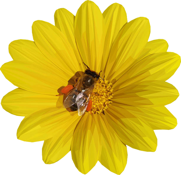 Bee Cool Hydrating Spritzers 2pk