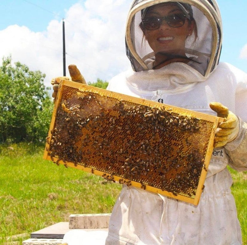 SweetNes Honey prepares to expand in Fort Bend County