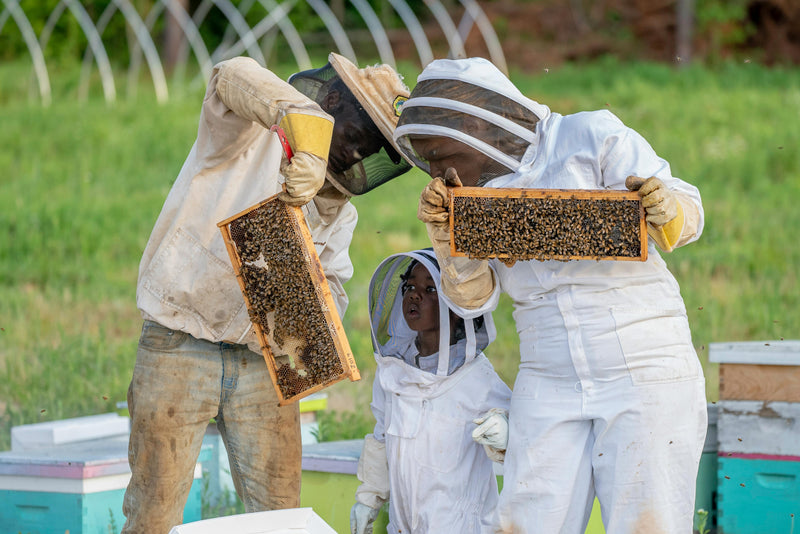 Benefits of Beekeeping 🐝