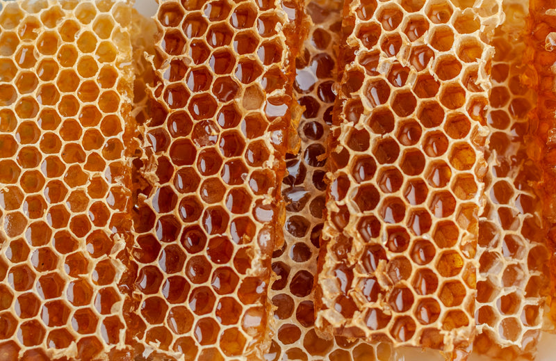 The beautiful and amazing Honeycomb!