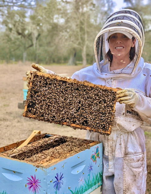 Honeybee Colonies For Sale