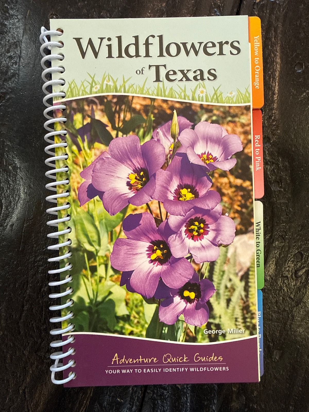 Wildflowers of Texas