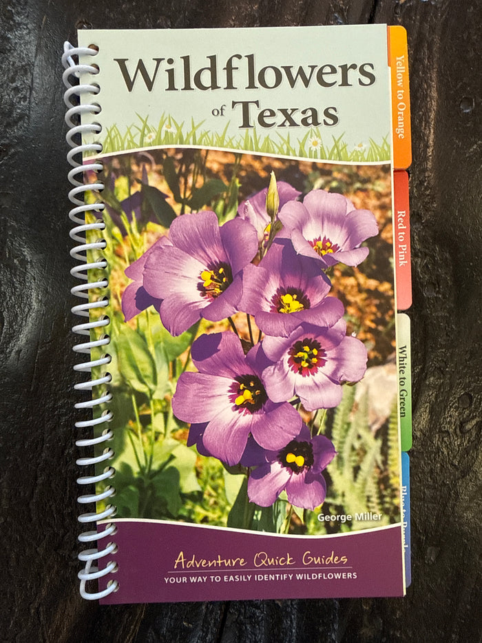 Wildflowers of Texas