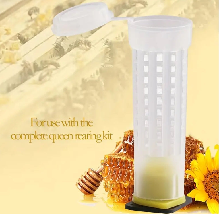 Queen Rearing Flashlight Queen Rearing /Queen Cage – SweetNes Honey Apiaries & Beetique