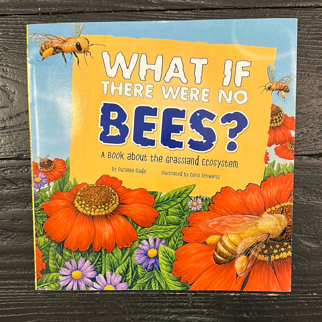 What if there were no BEES?