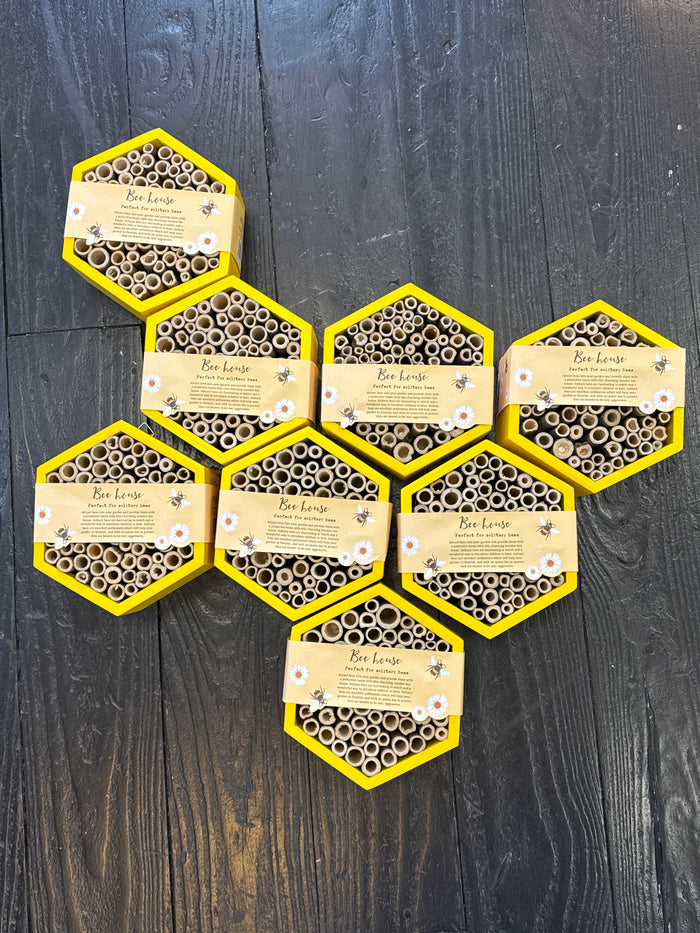 Hexagon Bee House