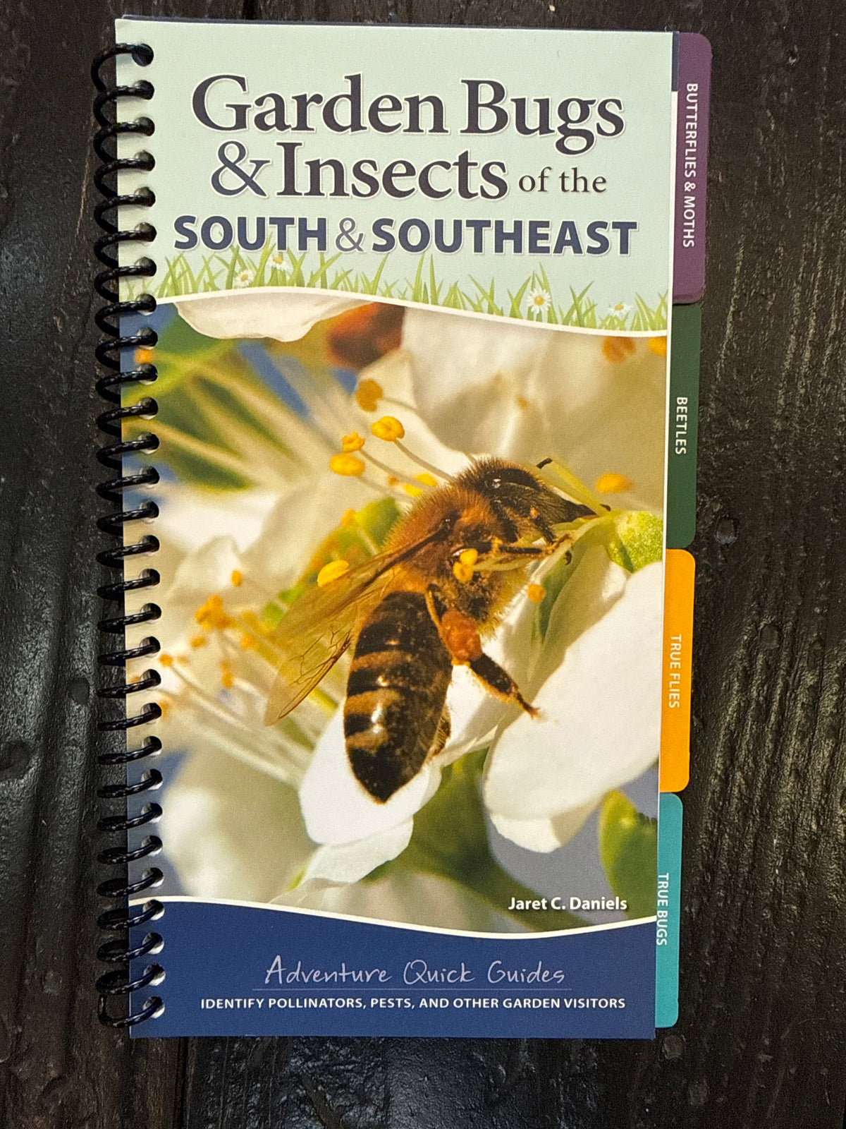 Garden Bugs & Insects South & Southeast US