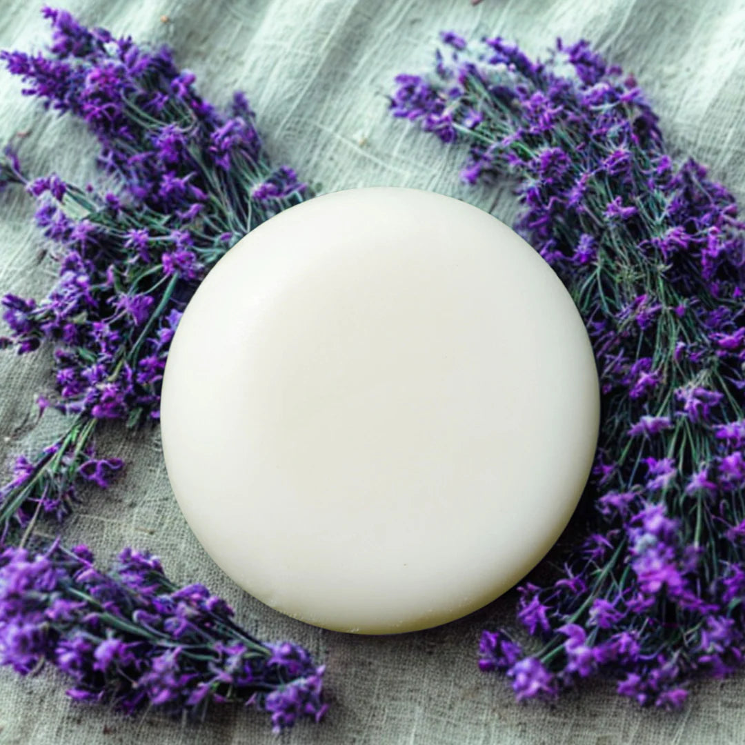 LARGE Bee Bar Lotion (Lavender)