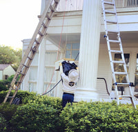 Safe Bee Removal / Rescue / Relocation