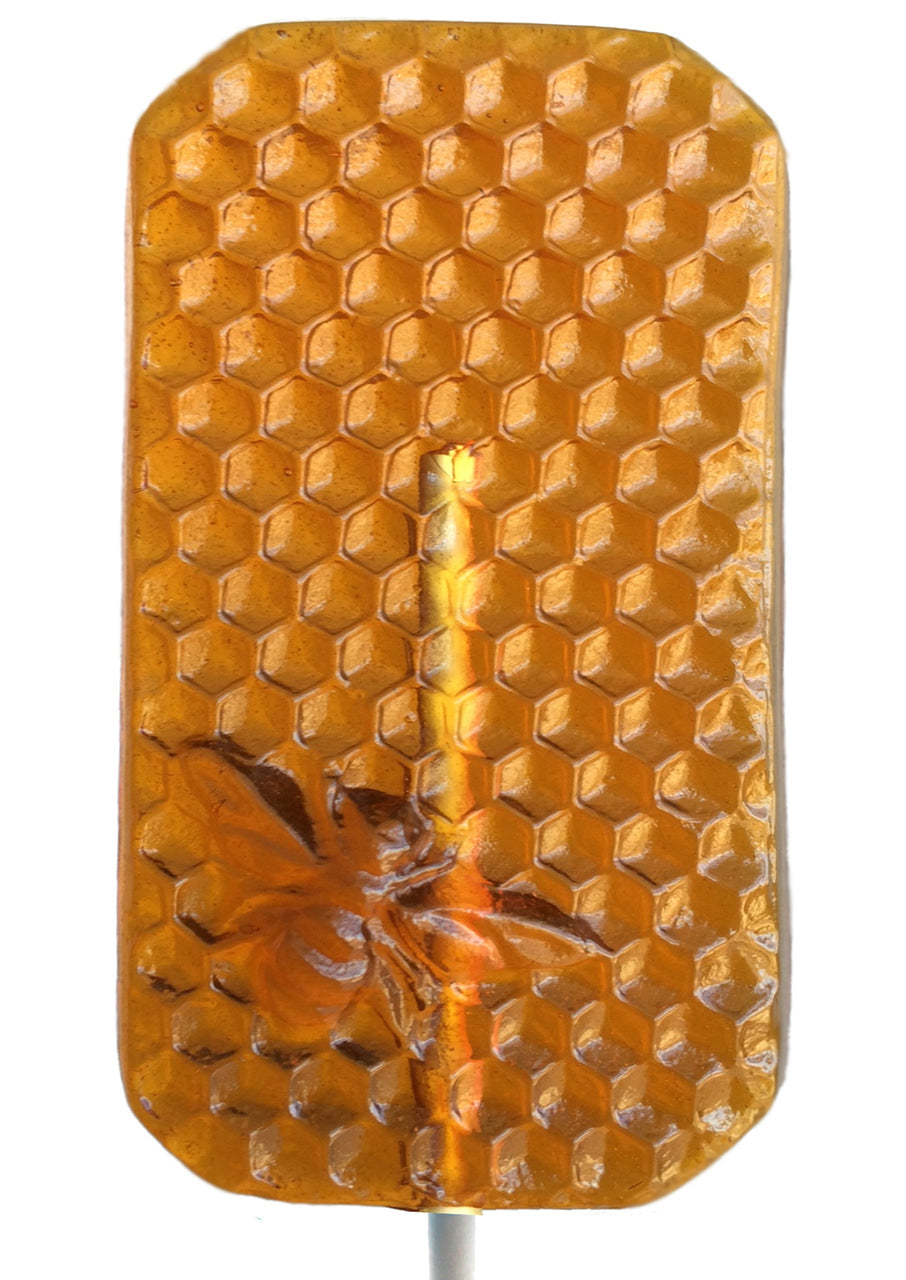 LARGE Bee & Honey Comb Honey Lollipops