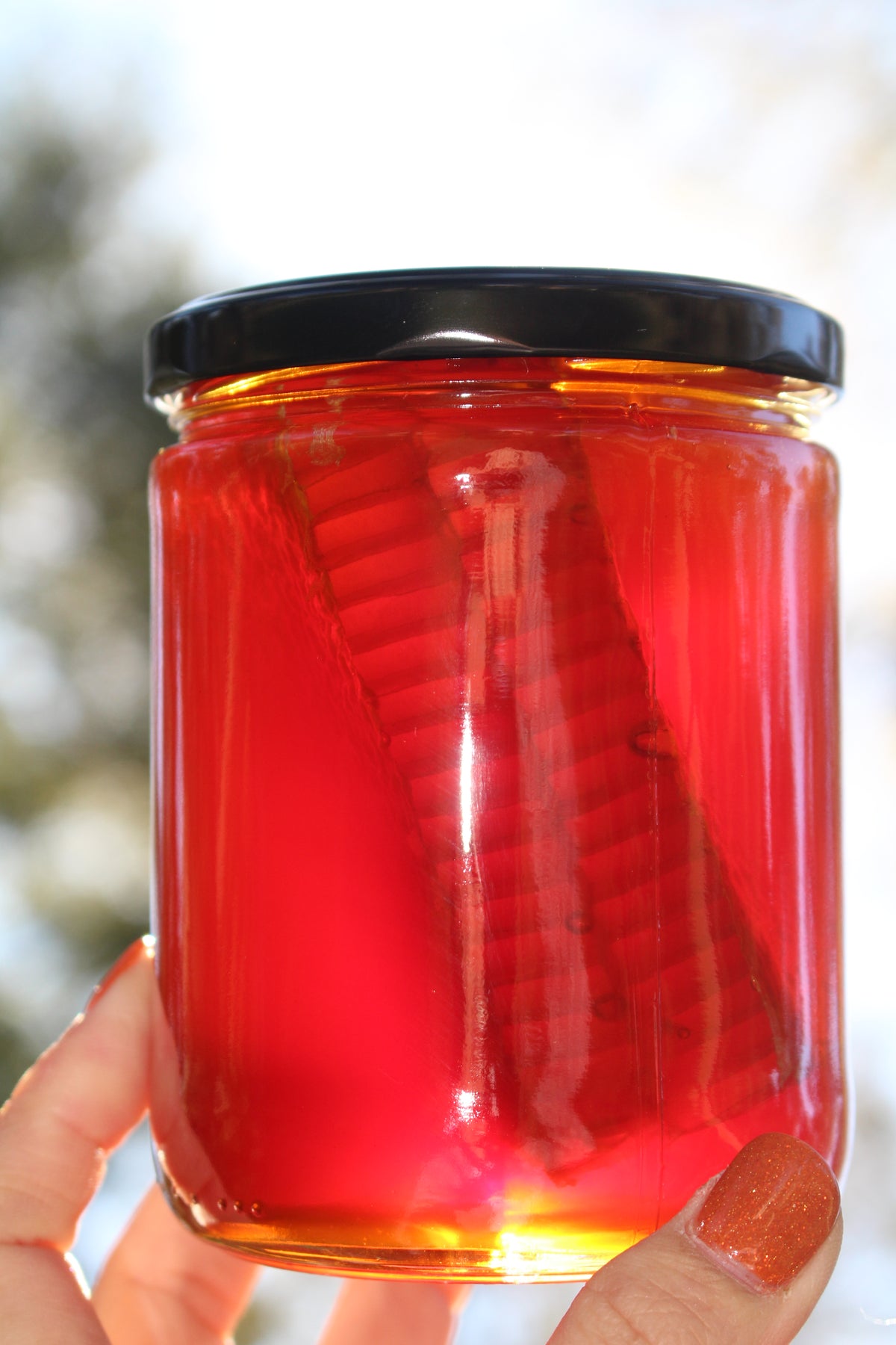 16oz Comb Honey (Chunk of Texas Honey Comb in our Local Fort Bend Honey)