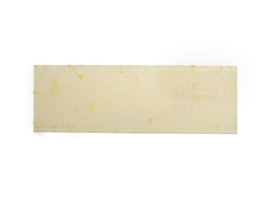5 1/2" Premier Bee MEDIUM Foundation - EXTRA HEAVY WAX