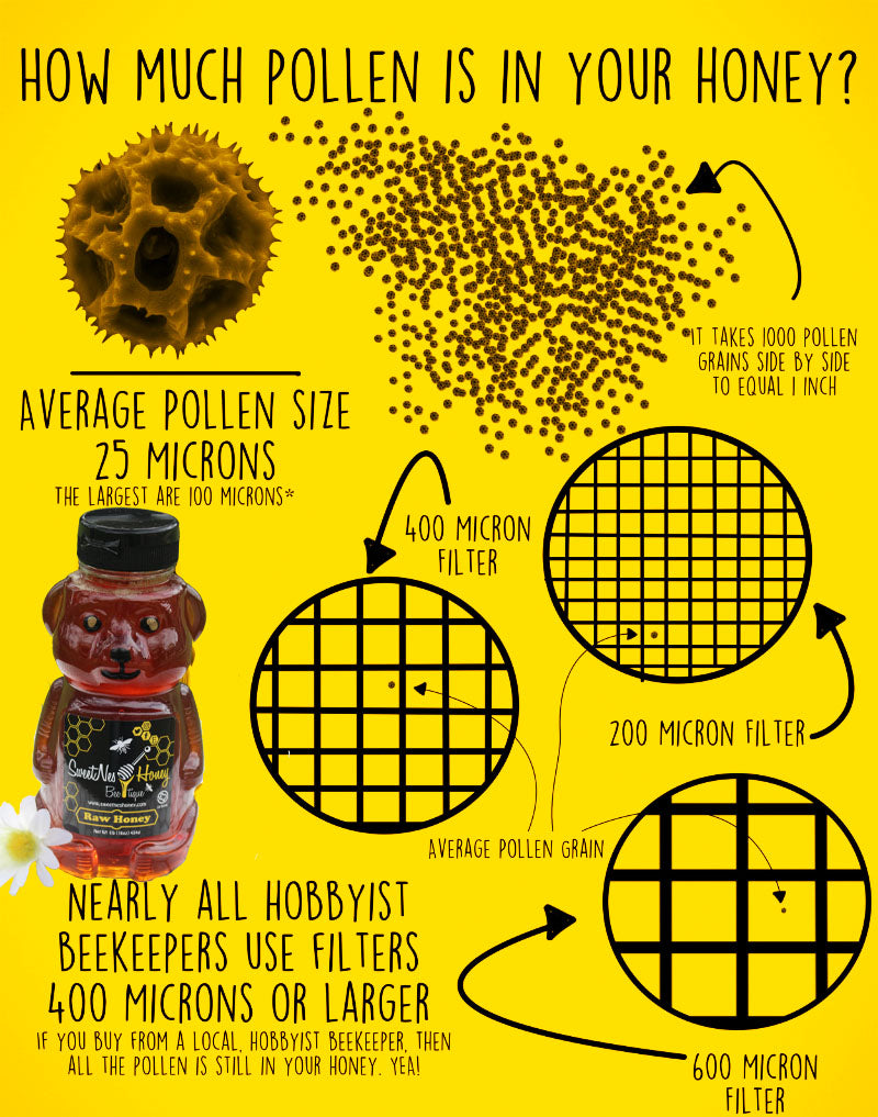 SweetNes Honey Pure Pollen in 12oz GLASS Bear
